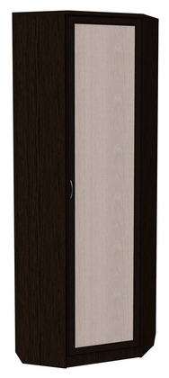 Шкаф 402 угловой со штангой, цвет Венге в Пензе - изображение
