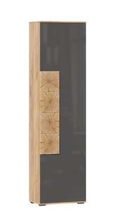 Шкаф одностворчатый Фиджи с декоративными накладками 659.300, Дуб Золотой/Антрацит в Пензе - изображение