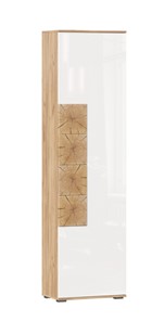 Шкаф одностворчатый Фиджи с декоративными накладками 659.300, Дуб Золотой/Белый в Пензе
