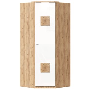 Шкаф угловой 45 с декоративной накладкой Фиджи, 659.248, белый в Пензе - предосмотр
