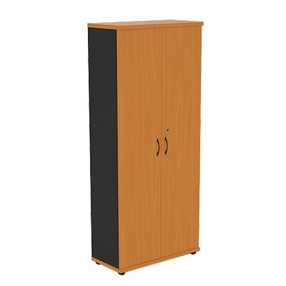 Шкаф для одежды Моно-Люкс R5S05 в Пензе - изображение
