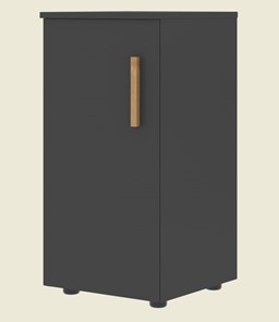 Низкий шкаф колонна с глухой дверью левой FORTA Черный Графит FLC 40.1 (L) (399х404х801) в Пензе
