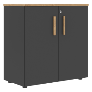 Шкаф широкий низкий с малыми дверцами FORTA Графит-Дуб Гамильтон  FLC 80.1(Z) (798х404х801) в Пензе