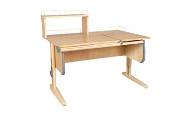 Детский стол-трансформер 1/75-40 (СУТ.25) + Polka_z 1/600 + Polka_zz 1/600 бежевый/бежевый/серый в Пензе
