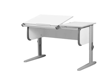 Детский стол-трансформер 1/75-40 (СУТ.25) белый/серый/серый в Пензе